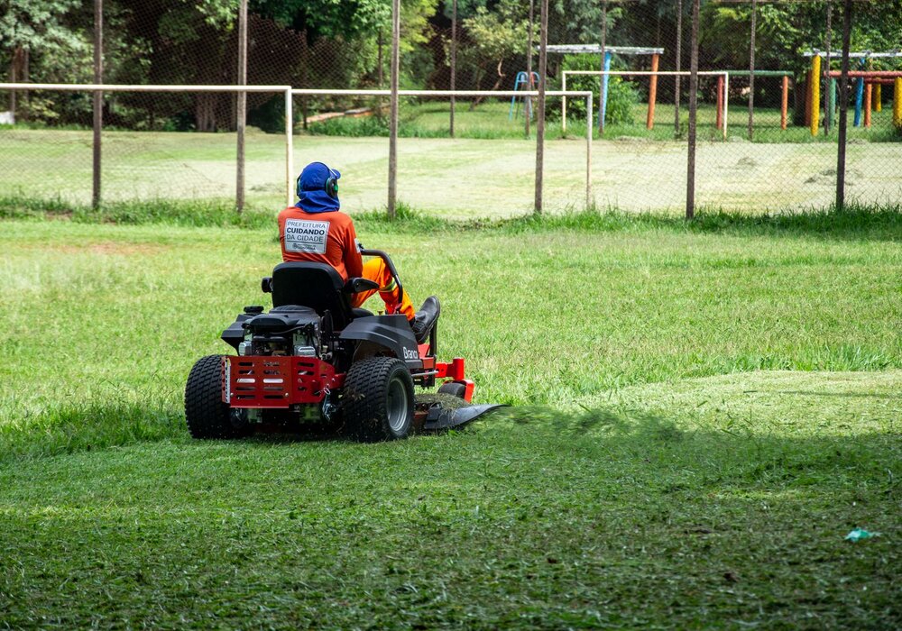 Freshly mowed, healthy green lawn